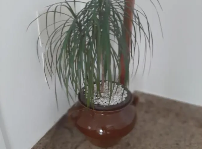 Eta 게스트하우스