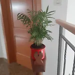 Eta